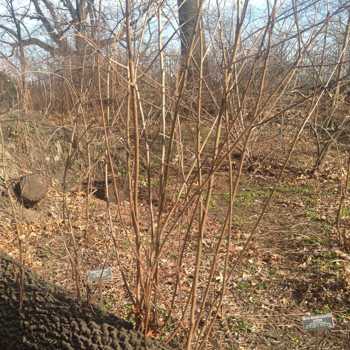 In early April, a lot of land still looks barren.